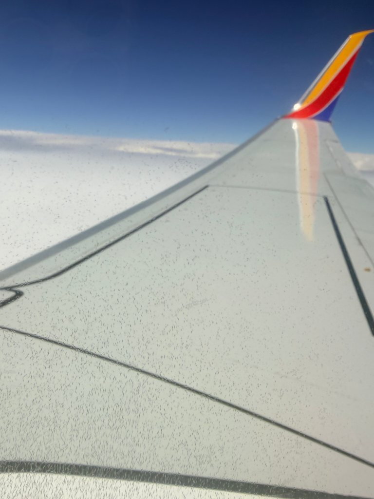 best time to book flights